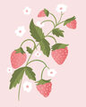 Image Not Available